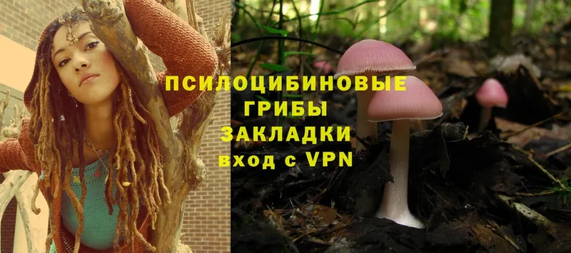 даркнет сайт  Воркута  Псилоцибиновые грибы Cubensis 